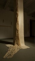 HOMA IMAGE
