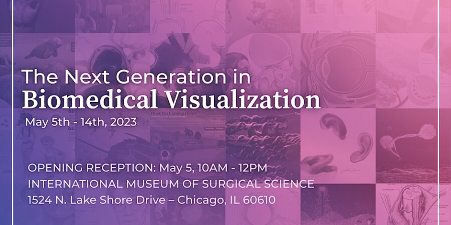 The Next Generation in Biomedical Visualization - The Visualist